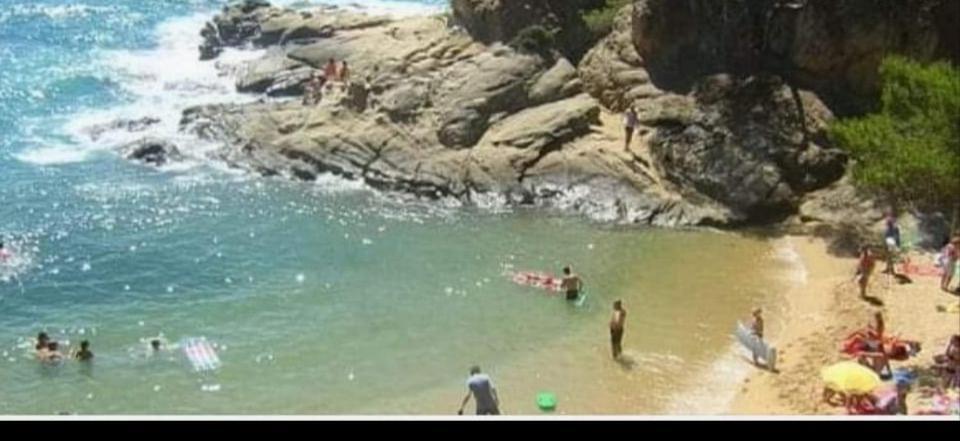 Apartamento Con Terraza Y Acceso Directo A La Piscina Y A 50 M De La Playa ميامي بلاتجا المظهر الخارجي الصورة