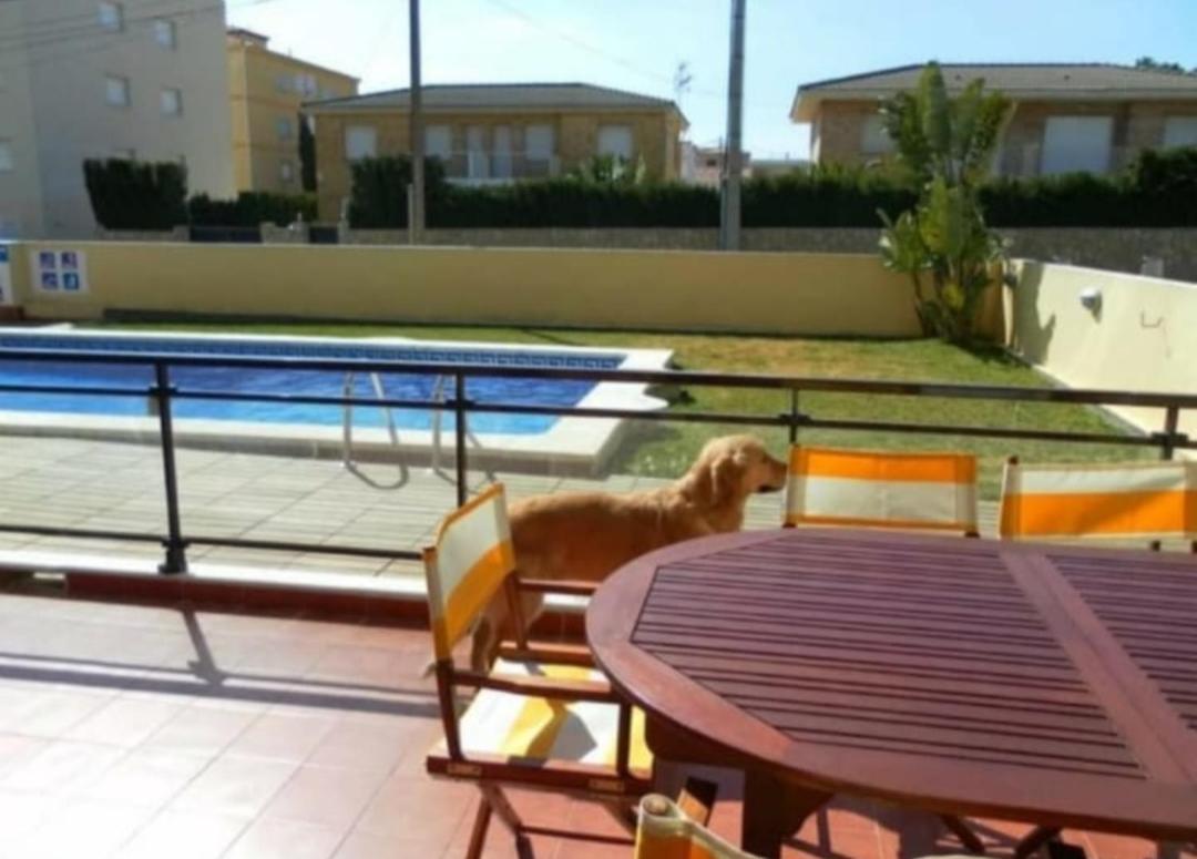 Apartamento Con Terraza Y Acceso Directo A La Piscina Y A 50 M De La Playa ميامي بلاتجا المظهر الخارجي الصورة